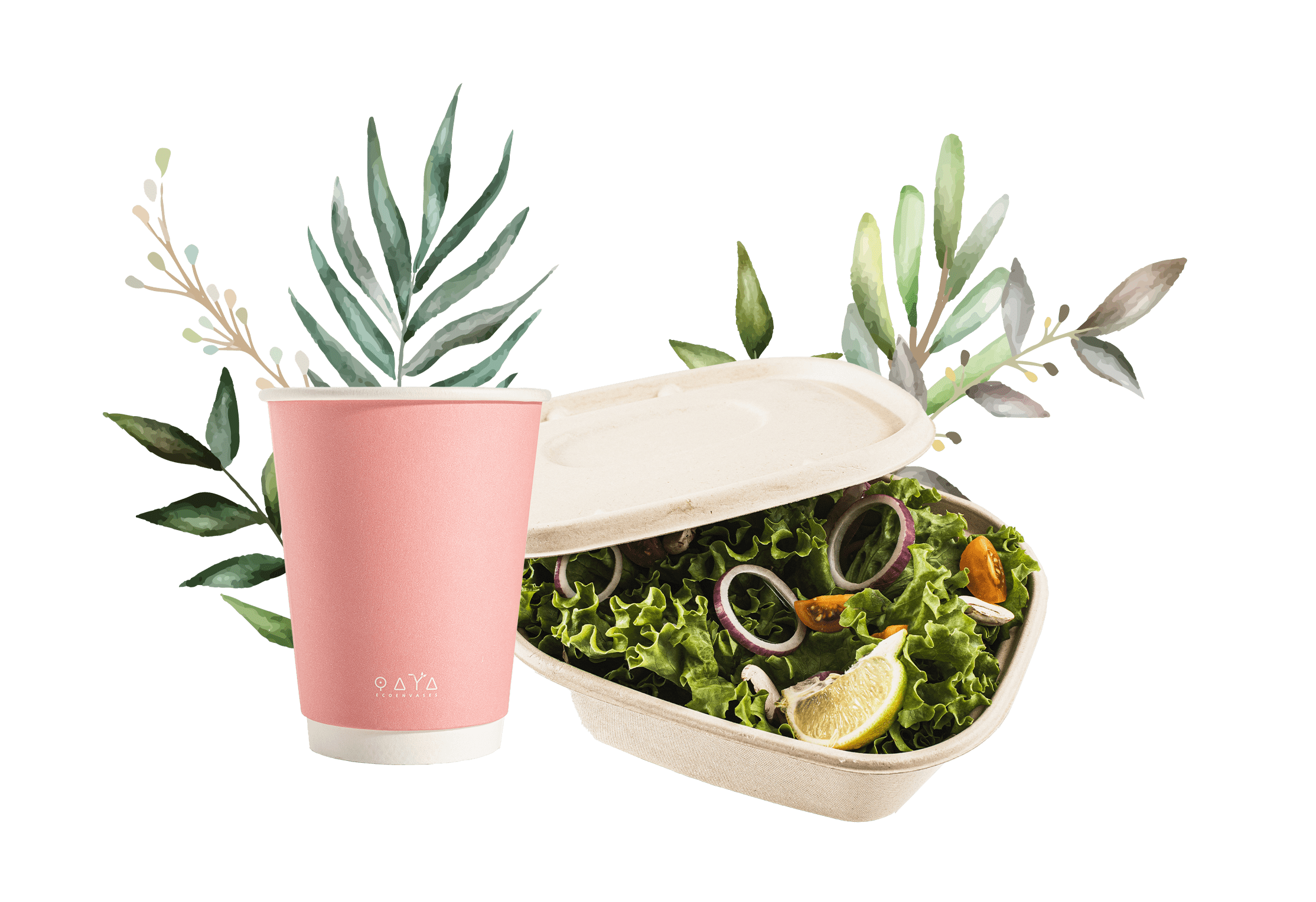 Qaya Ecoenvases - Envases biodegradables